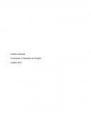 Análisis comercial Formulación y Evaluación de Proyecto