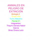 Animales en peligro de Extinción