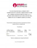 PLAN DE NEGOCIOS PARA LA PRODUCCIÓN Y EXPORTACIÓN DE UVA DE MESA