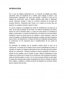 Introduccion de obra preeliminar