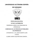 Enseñanza a niños con problemas de aprendizaje