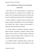 5 de las principales especies en peligro de extincion