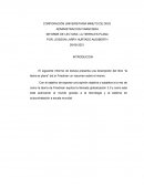 Informe la tierra es plana