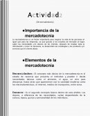 Importancia de la mercadotecnia