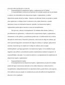 GUIA DE APLICACIÓN DE LA NIA 250