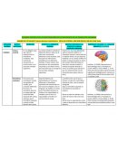 CUADRO SINTESIS DE LA PARTICIPACIÓN DE LO BIOLÓGICO EN LA CONDUCTA HUMANA