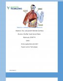 Cuidado del cuerpo humano act 2