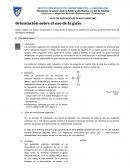 Orientación sobre el uso de la guía