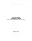 ANALISIS CONTADURIA PUBLICA