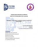 Análisis de la seguridad e higiene de la empresa joseli