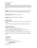 Proyecto dia de la tradicion