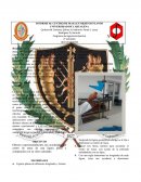 Informe centro de masa