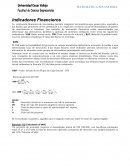 Indicadores Financieros VAN,TIR,BC