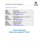 Informe Ejecutivo Fábrica de Juguetes “Piolín”