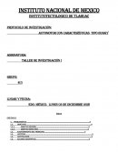 AUTOMOTOR CON CARACTERÍSTICAS TIPO BUGGY