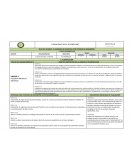 PLAN DE UNIDADES DIDACTICAS