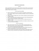 Importancia de la administración