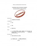 LA COSTUMBRE COMO MEDIO DE SOLUCION DE CONFLICTOS INTERNACIONALES – COMERCIO INTERNACIONAL