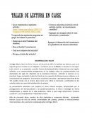 El siglo XXI empezo en Seattle consolidacion