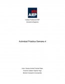 Cuál o cuáles tipos de empresas utilizarían estas estructuras organizacionales?