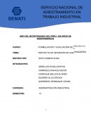 PROYECTO DE INVERSIÓN DE UNA