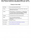 El plan de marketing. Champú en barra Nash