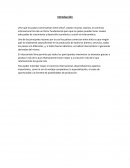 Ensayo economia internacional