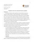 Plasticidad Cerebral Como Compensación Parcial en la Epilepsia
