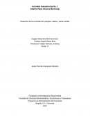 Desechos de los animales en parques, calles y zonas verdes