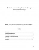 Gestion de compensacion y descripcion de cargos Empresa Viña Undurraga