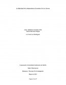 La Dificultad De La Independencia Económica En Los Jóvenes