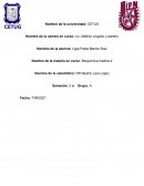 Receptores de la insulina