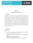 PRACTICA N˚ 2 ANÁLISIS ELEMENTAL ORGÁNICO