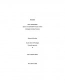 ¿Qué es la creatividad?