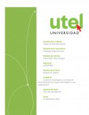 Como se constituyen y se mejora el desempeño de los equipos de trabajo en una organizacion?