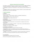 CONECTORES PARA NIÑOS