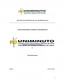 Agentes economicos de las microfinanzas