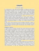 Ensayo derechos humanos