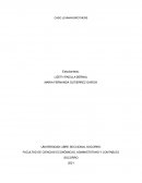 CASO LEHMAN BROTHERS