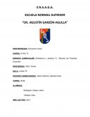 Residencia y práctica IV: Recrear las Prácticas Docentes