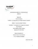 Formulación de conceptos de violación