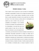 SEMINARIO DE DERECHO AGRARIO RÉGIMEN COMUNAL Y EJIDAL