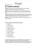 Cuerpo humano