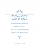 PROGRAMACION Y BASE DE DATOS