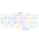 Teoría general de Administración