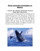 CONFEDERACIÓN PATRONAL DE LA REPÚBLICA MEXICANA (COPARMEX)