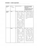 Actividad 1 – Cuadro organizador