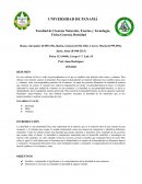 Informe de fisica-La densidad