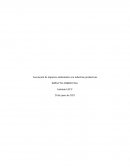 Asociación de impactos ambientales con industrias productivas