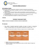 Guia de reforzamiento historia y ciencias 4°